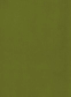 Habitat Alexis Velvet Cocktail Chair - Olive -Habitat 1341287 R B001