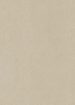 Habitat Alexis Velvet Cocktail Chair - Cream -Habitat 1341294 R B001