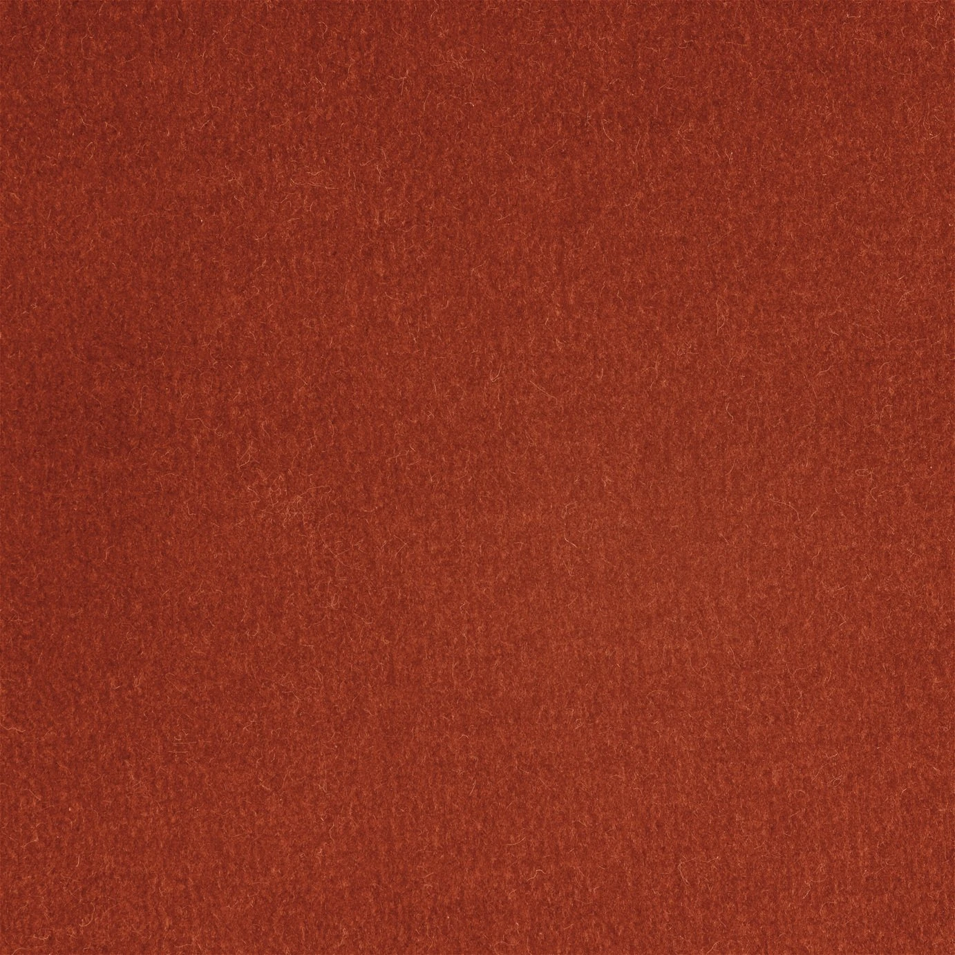 Habitat Fenner Velvet 2 Seater Sofa - Orange 2 Habitat Fenner Velvet 2 Seater Sofa - Orange - Image 2