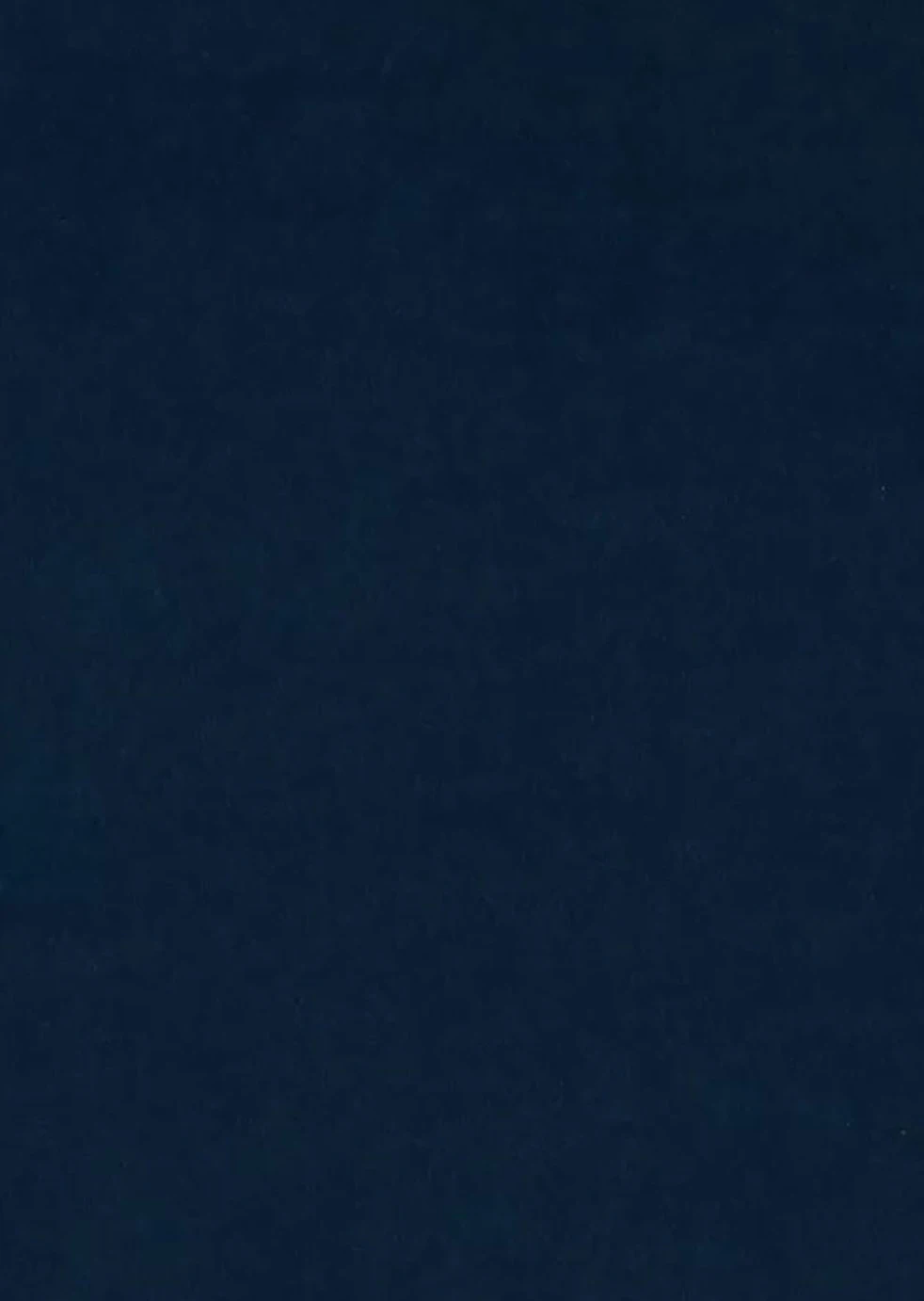 Habitat Chesterfield Velvet Armchair - Blue 3 Habitat Chesterfield Velvet Armchair - Blue - Image 3