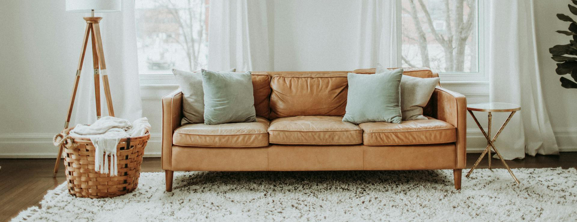 Habitat 3 Habitat -Habitat pexels leah newhouse 50725 6480707